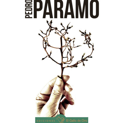 Pedro Páramo by Juan Rulfo