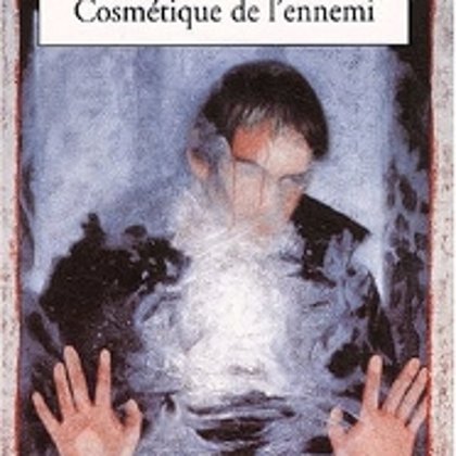 The Enemy's Cosmetique by Amélie Nothomb